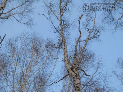 DSCN0115_r